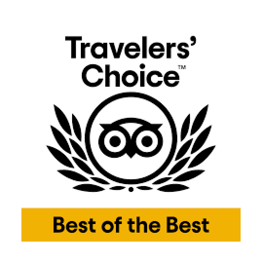 Trip Advisor